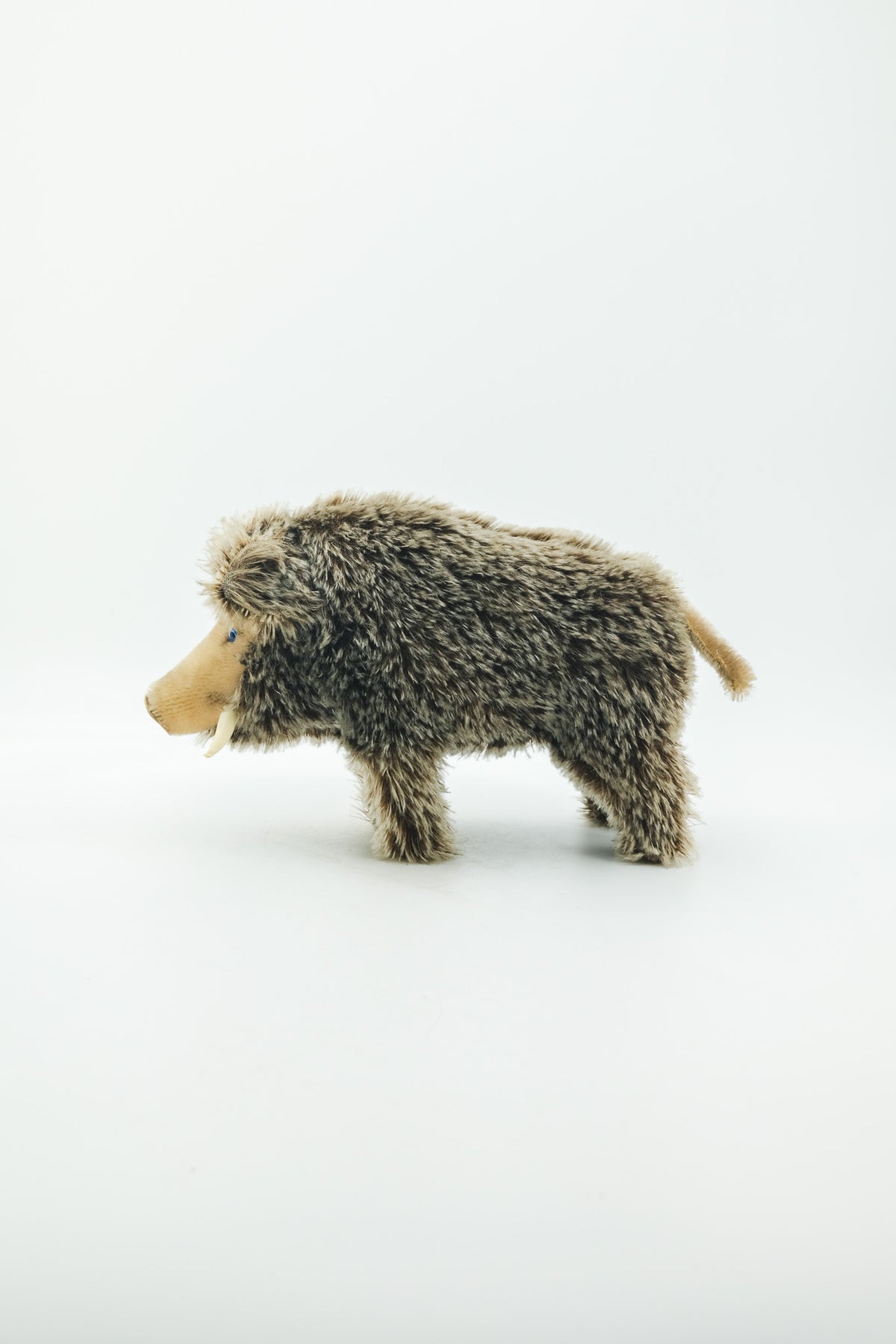 Dalle Wild Boar / シュタイフ製 イノシシのぬいぐるみ（Dalle）