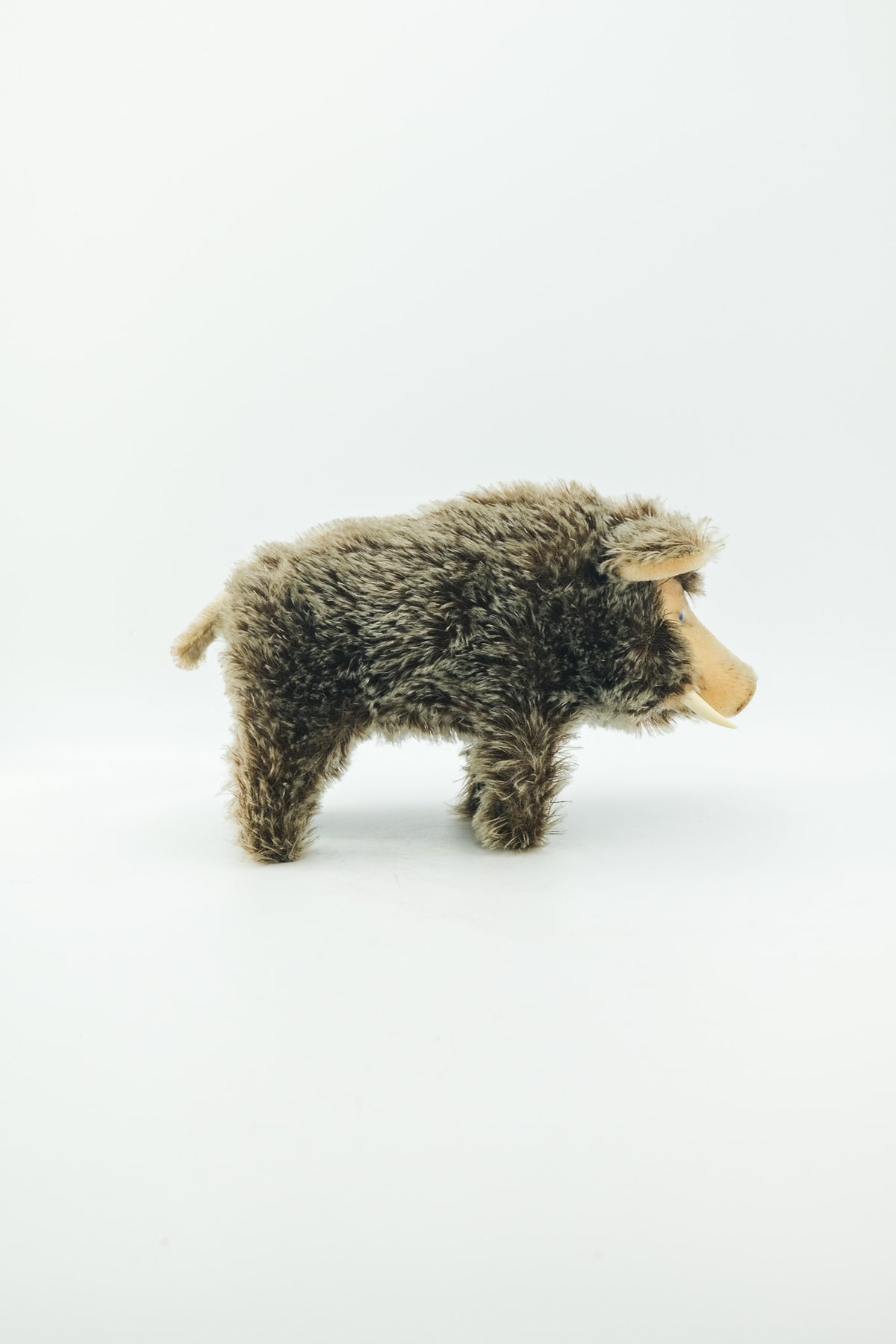 Dalle Wild Boar / シュタイフ製 イノシシのぬいぐるみ（Dalle）