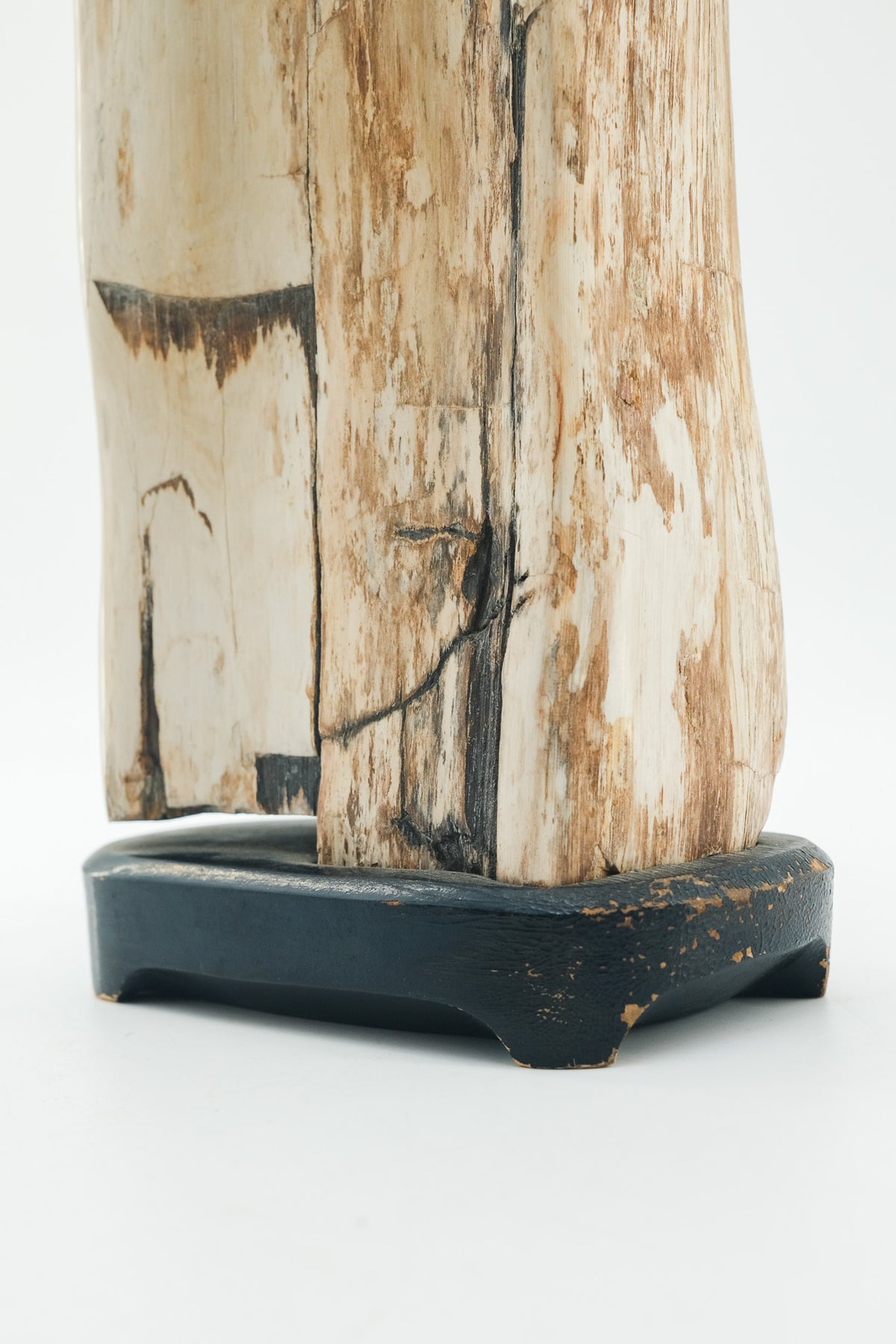 Petrified Wood Object / 珪化木 オブジェ