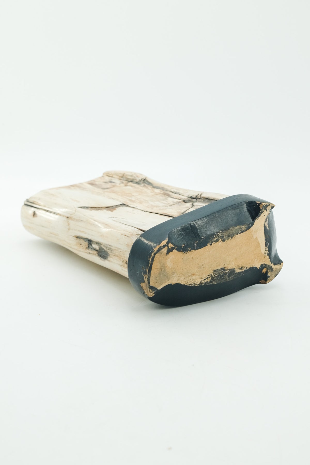 Petrified Wood Object / 珪化木 オブジェ