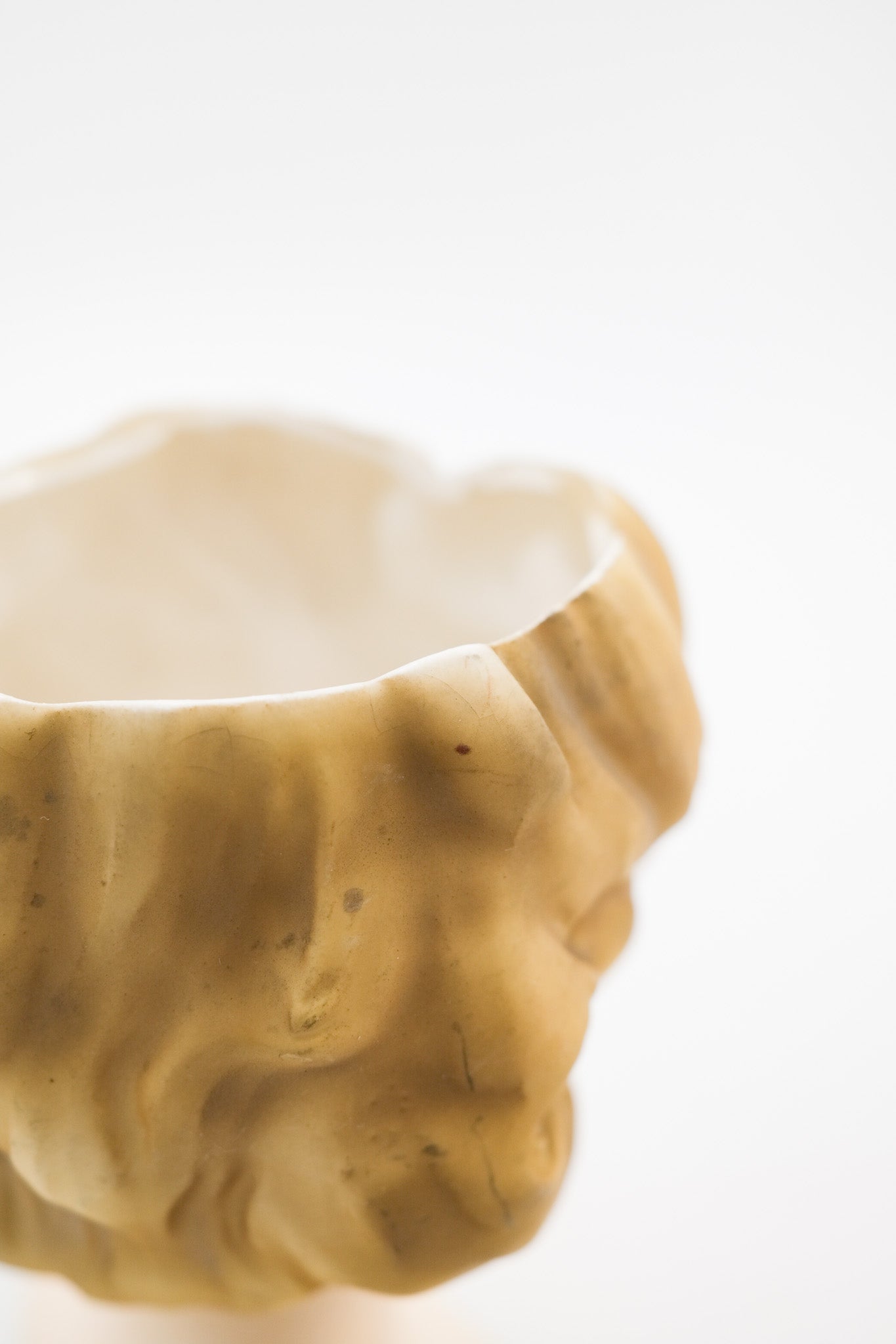 Lady Head Vase / 貴婦人のヘッドベース