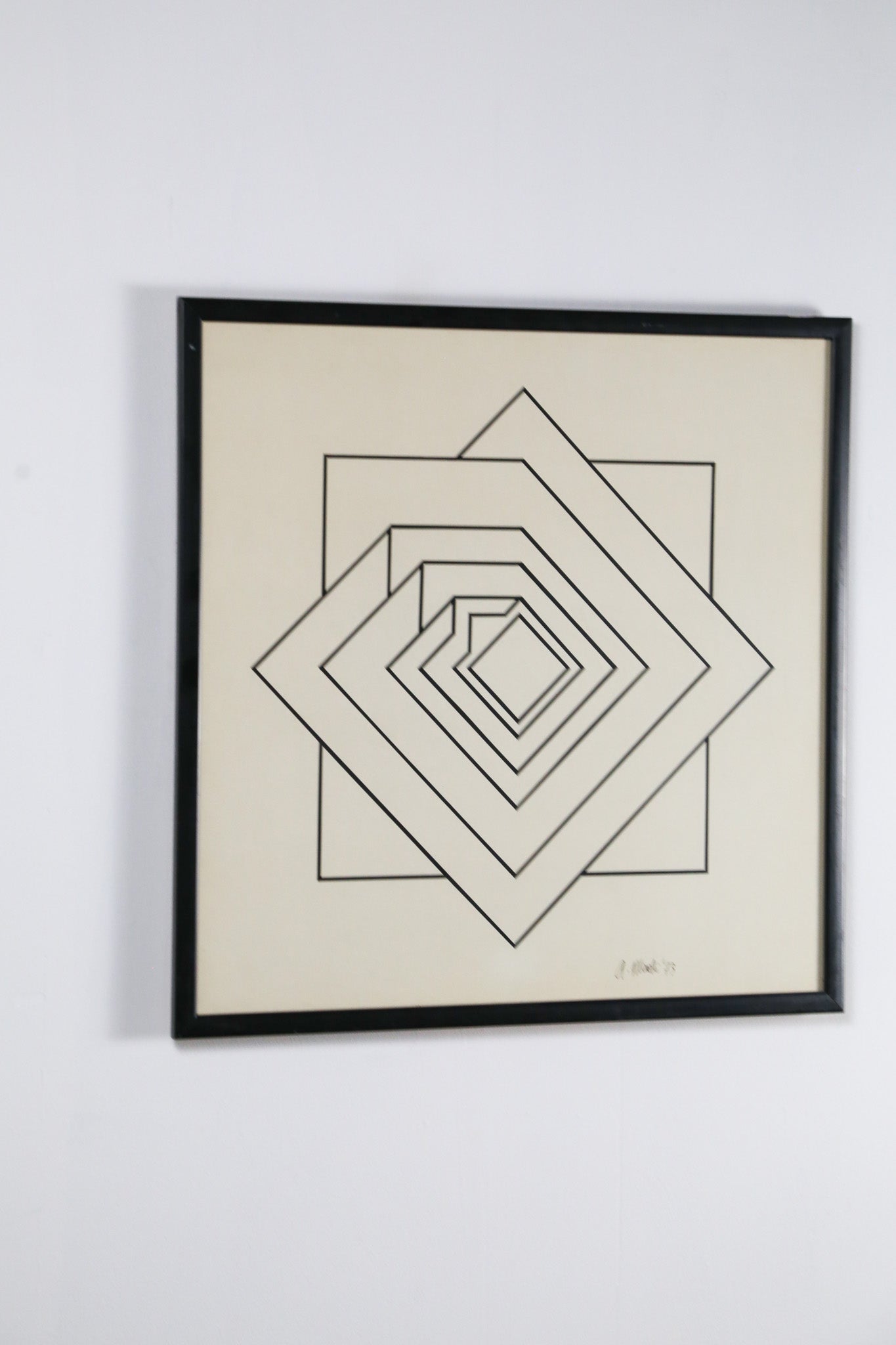 Geometric Wall Art  / 幾何学 ウォールアート