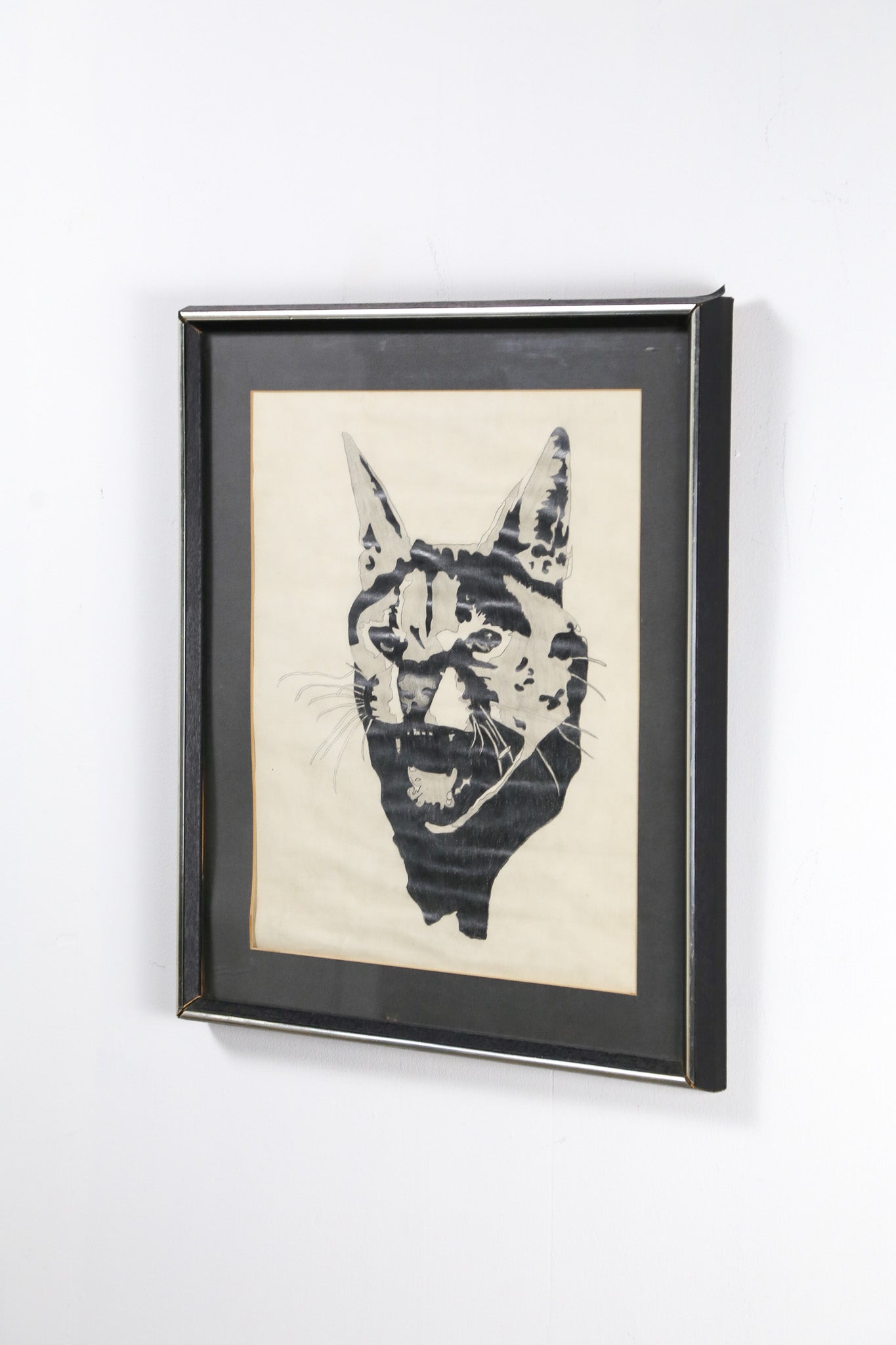 Cat Face Art / 猫の顔