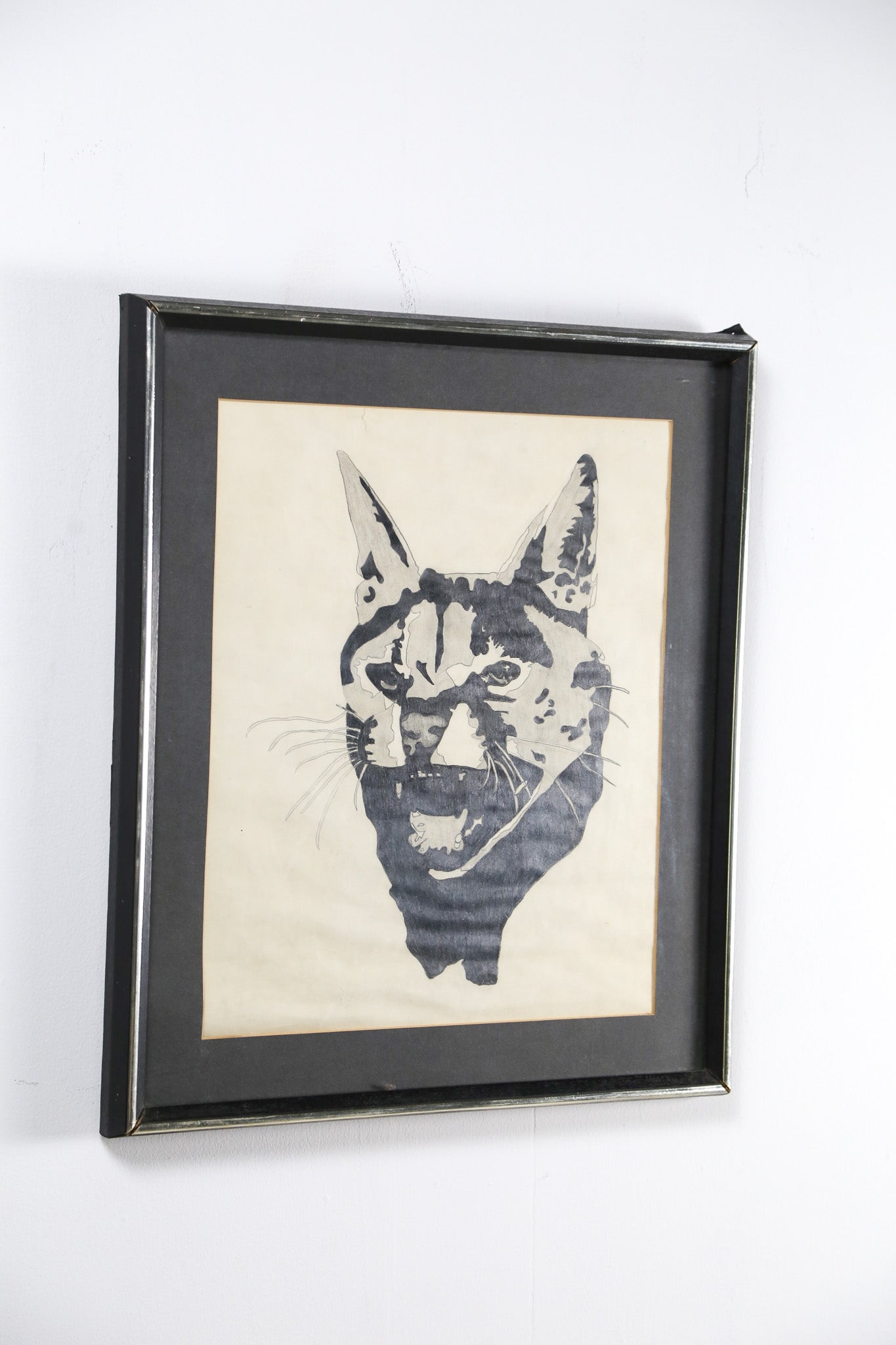 Cat Face Art / 猫の顔