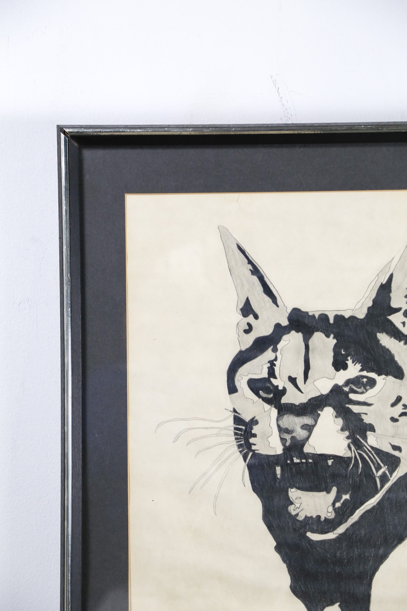 Cat Face Art / 猫の顔