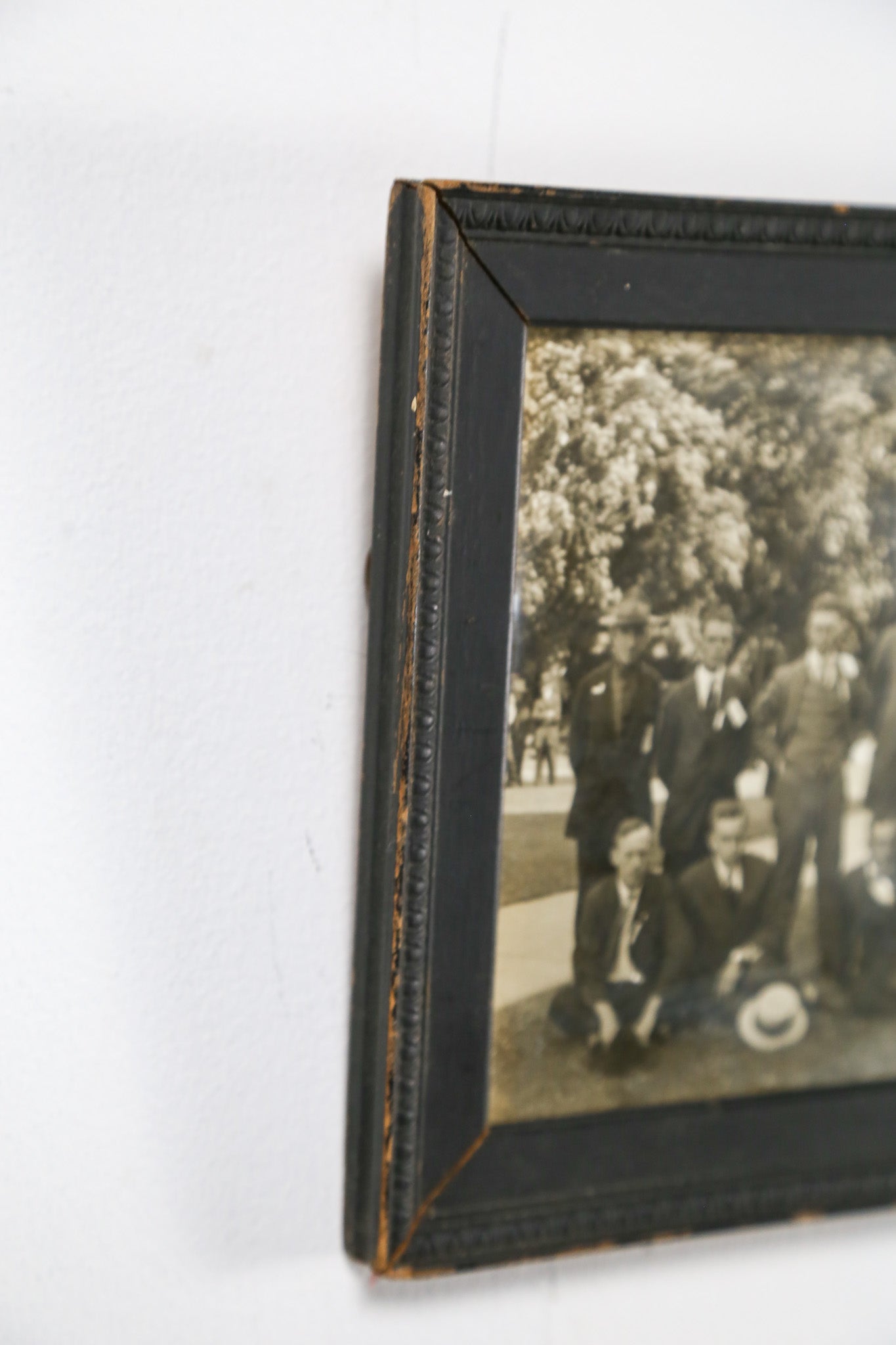 Group Photographs / 集合写真