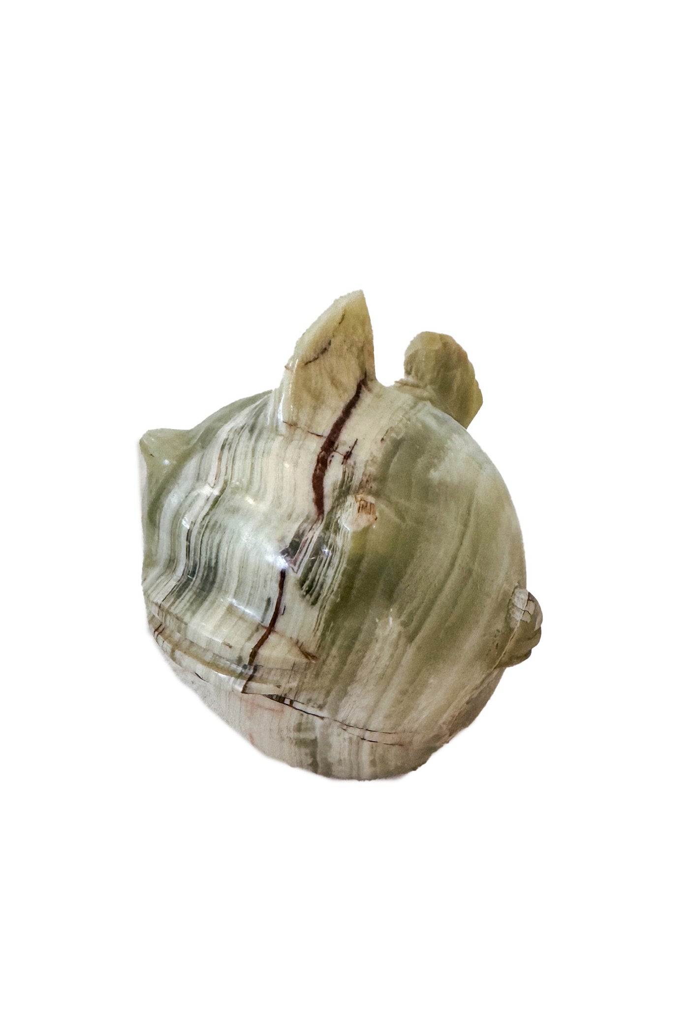 Stone Fish / 石の魚