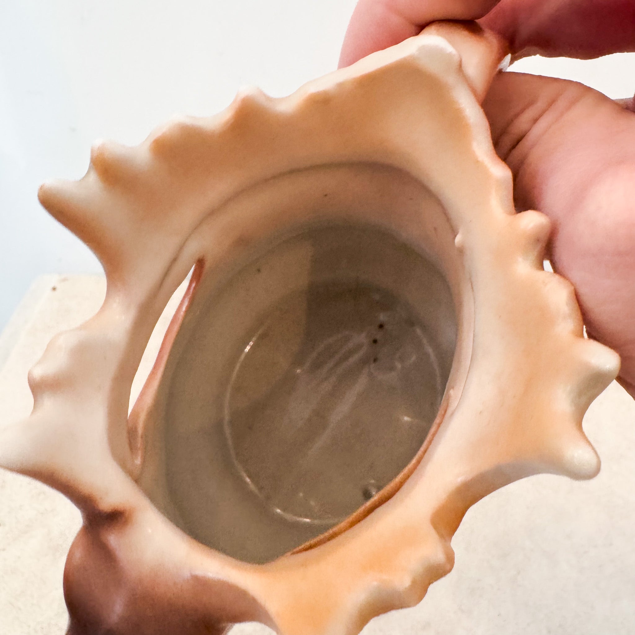 Pottery Deer Pitcher / 陶器製鹿のピッチャー