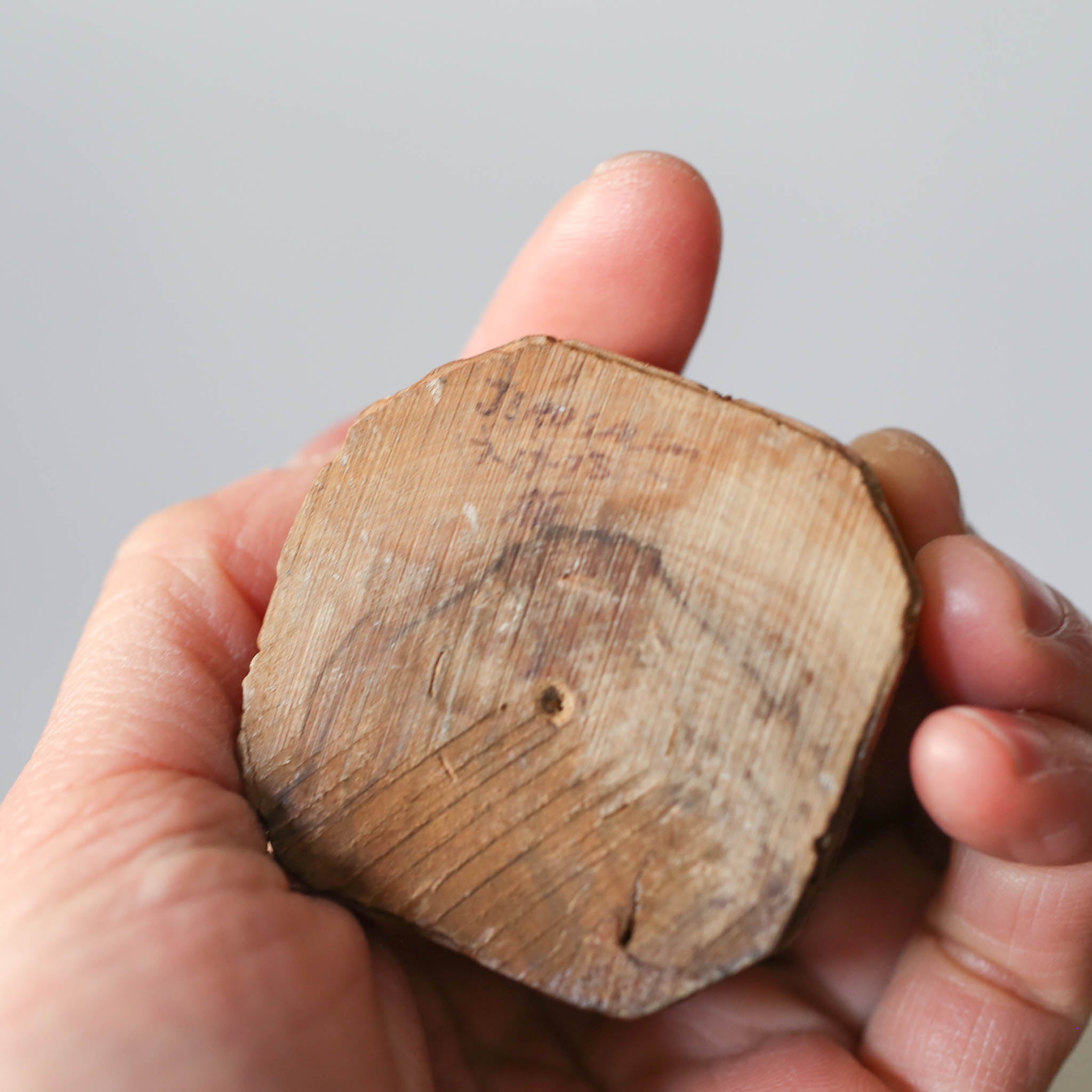 Carved Wooden Bust / 木彫りの胸像