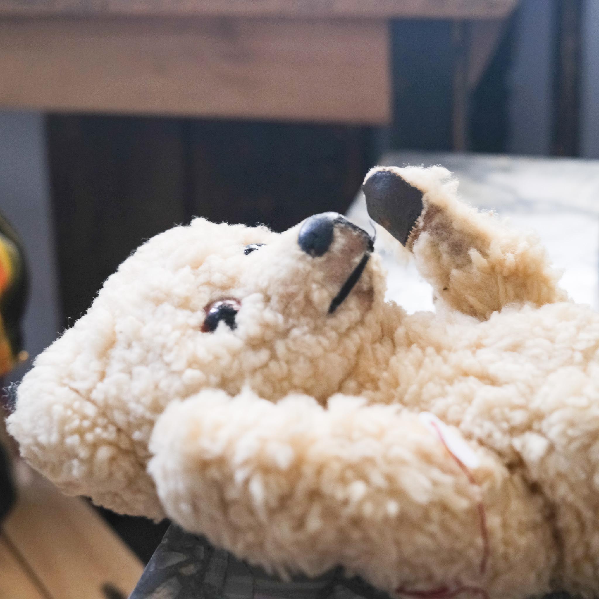 Teddy Bear / テディベア