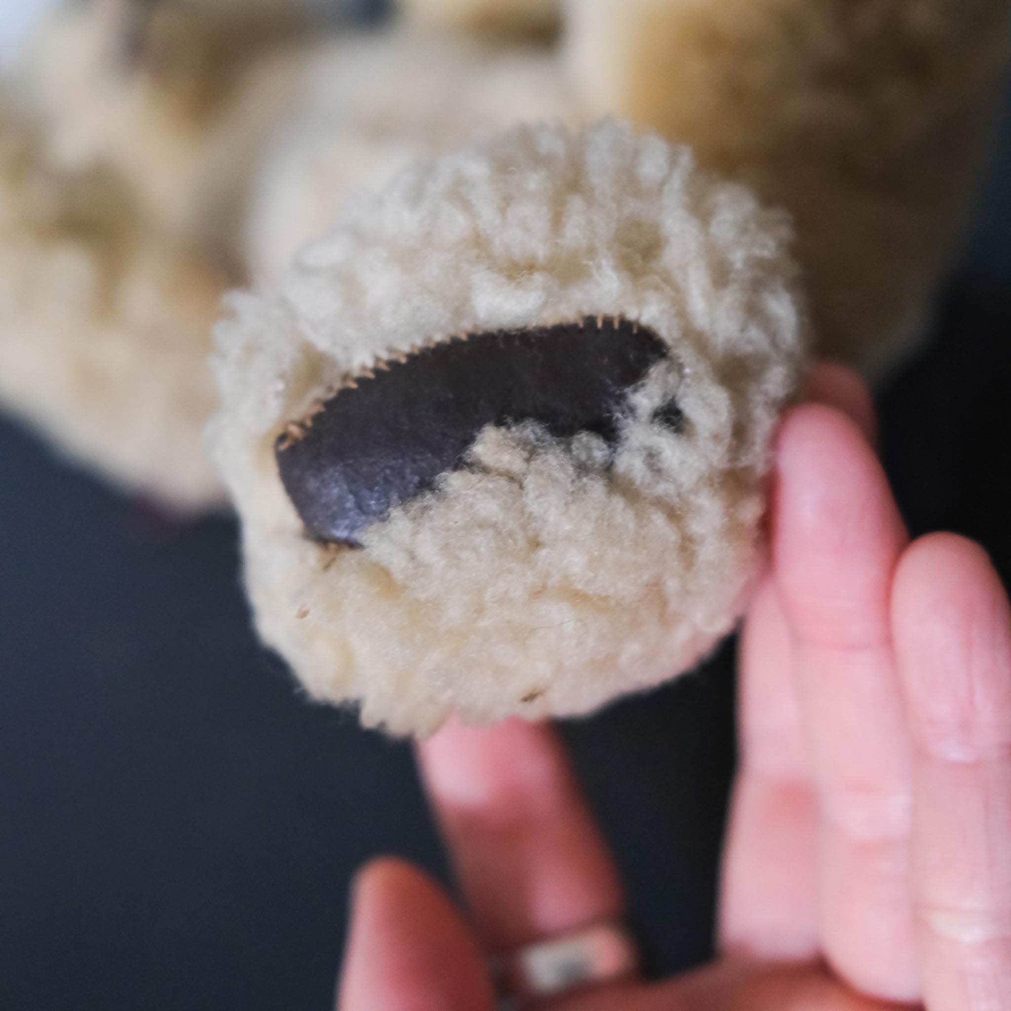 Teddy Bear / テディベア