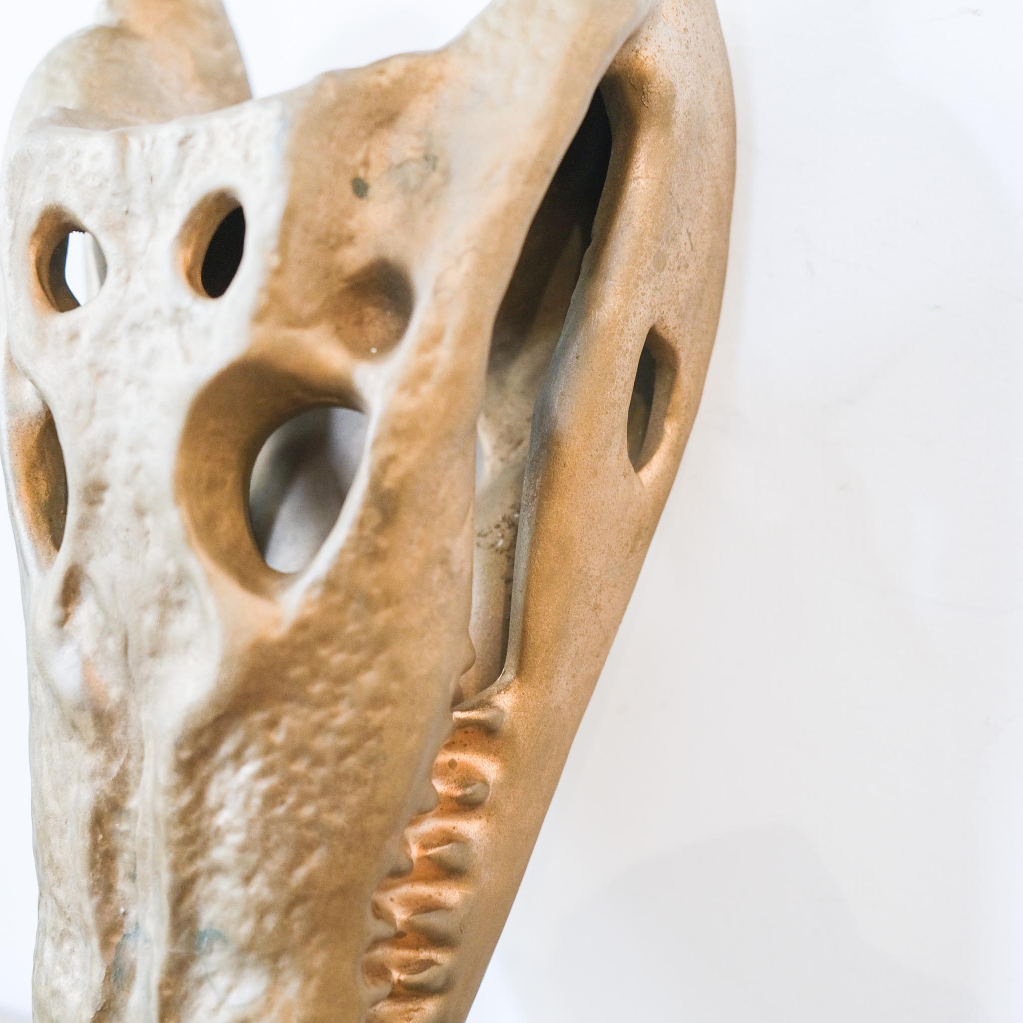 Ceramic Skeleton / 陶器製骸骨