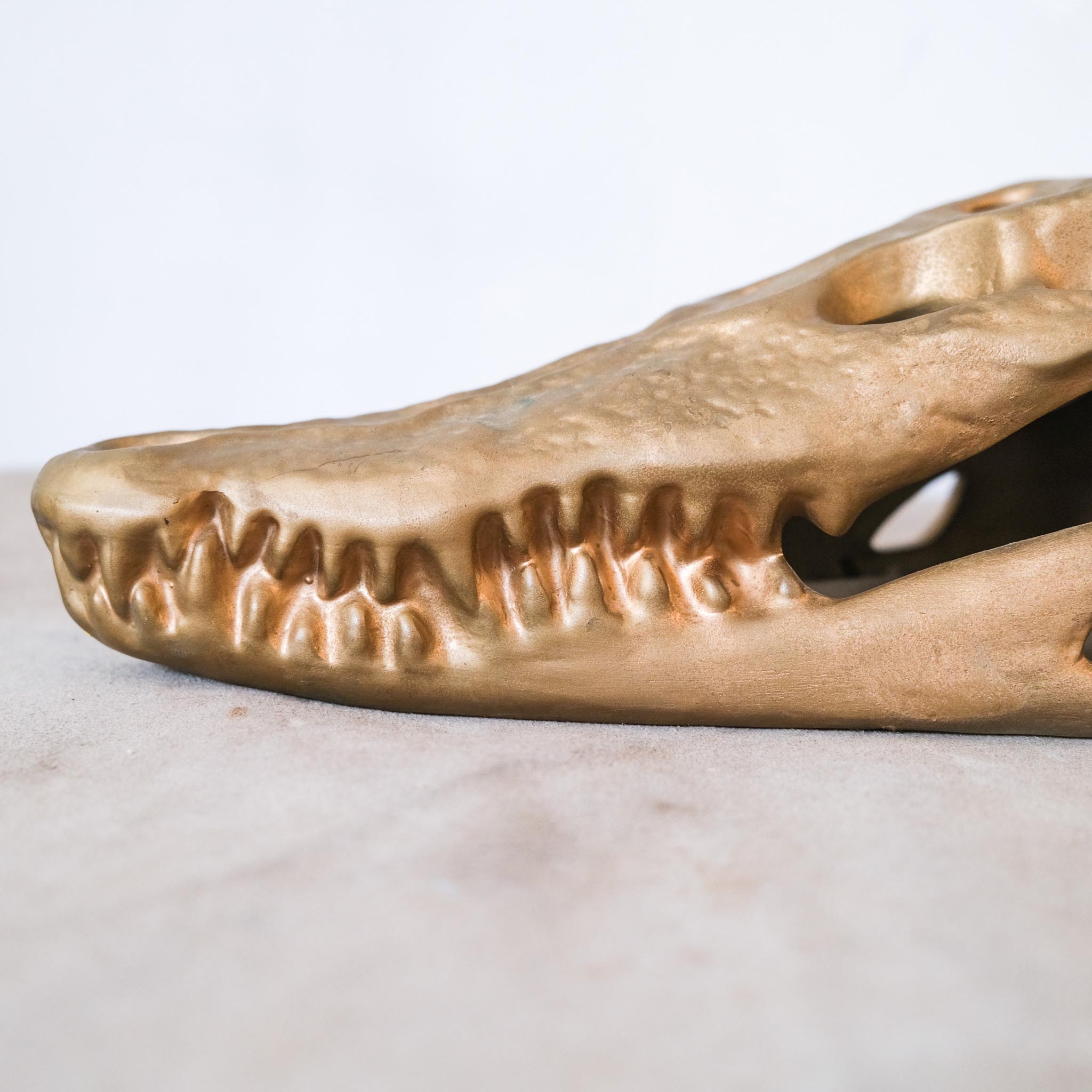 Ceramic Skeleton / 陶器製骸骨